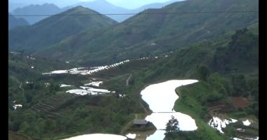 Vietnam dağ tarlaları