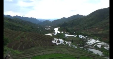 Vietnam dağ tarlaları