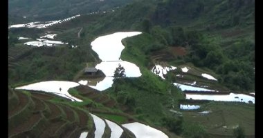Vietnam dağ tarlaları