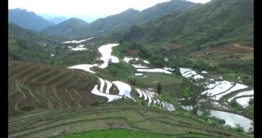 Vietnam dağ tarlaları