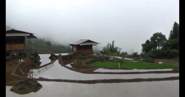 Vietnam dağ tarlaları