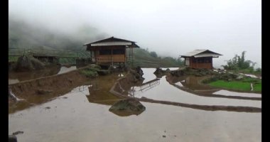 Vietnam dağ tarlaları