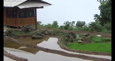 Vietnam dağ tarlaları