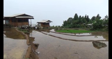 Vietnam dağ tarlaları