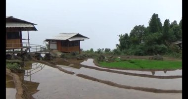 Vietnam dağ tarlaları