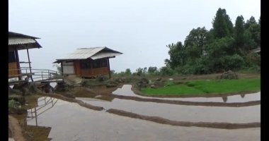 Vietnam dağ tarlaları