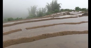 Vietnam dağ tarlaları