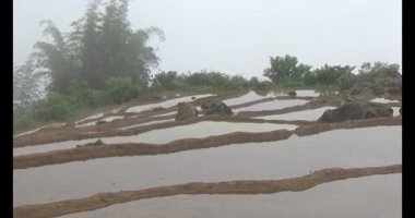 Vietnam dağ tarlaları