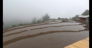 Vietnam dağ tarlaları