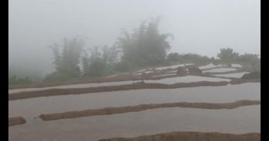 Vietnam dağ tarlaları