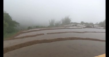 Vietnam dağ tarlaları