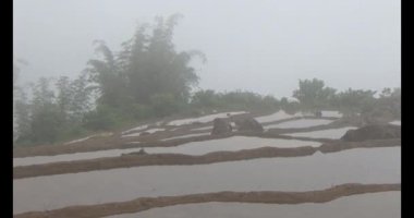 Vietnam dağ tarlaları