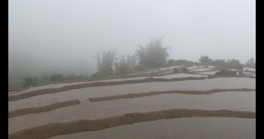 Vietnam dağ tarlaları