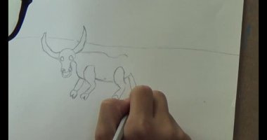 Bufalo çizen çocuk.