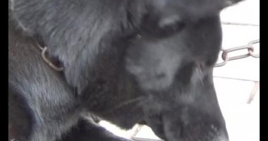 Haziran 07, 2025. Van An, Chi Linh, Hai Duong, Vietnam. Çocuklar geleneksel resimler çiziyor