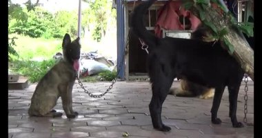 Haziran 07, 2025. Van An, Chi Linh, Hai Duong, Vietnam. Çocuklar geleneksel resimler çiziyor