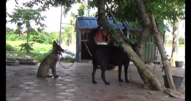 Haziran 07, 2025. Van An, Chi Linh, Hai Duong, Vietnam. Çocuklar geleneksel resimler çiziyor