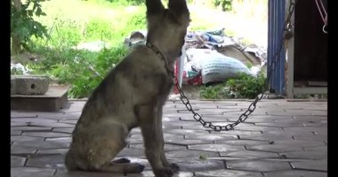 Haziran 07, 2025. Van An, Chi Linh, Hai Duong, Vietnam. Çocuklar geleneksel resimler çiziyor