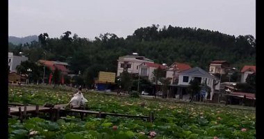 Lotus havuzunun yanındaki geleneksel elbiseli kadınlar.