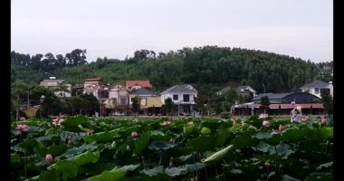 Lotus havuzunun yanındaki geleneksel elbiseli kadınlar.