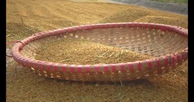 Pirinci kurutan çiftçiler