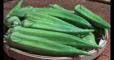 Sepette bamya var.