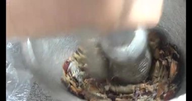 Çorba yapmak için tokmaklı yengeç