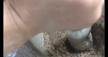 Çorba yapmak için tokmaklı yengeç