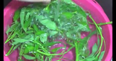 Su ıspanağını yıka ve pişir.