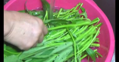 Su ıspanağını yıka ve pişir.