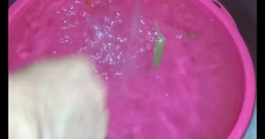 Su ıspanağını yıka ve pişir.