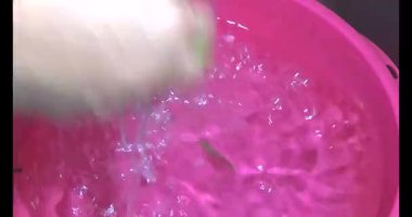 Su ıspanağını yıka ve pişir.