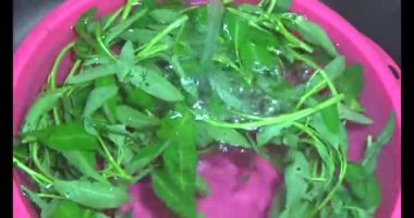 Su ıspanağını yıka ve pişir.