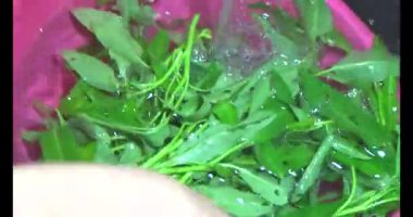 Su ıspanağını yıka ve pişir.