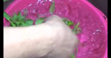 Su ıspanağını yıka ve pişir.