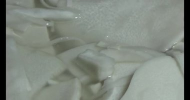 Bambu filizlerinden yiyecekler.