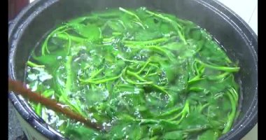 Su ıspanağını yıka ve pişir.