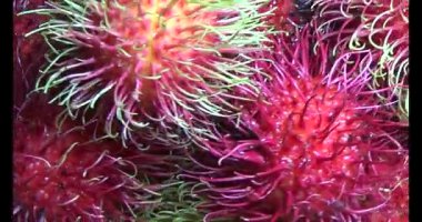 Sepette kırmızı rambutan