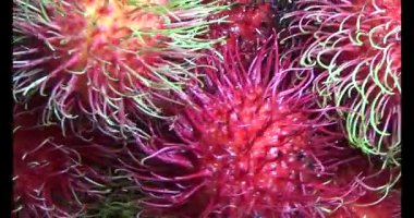 Sepette kırmızı rambutan