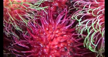 Sepette kırmızı rambutan