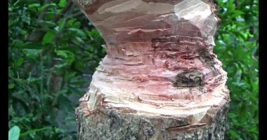 Adam beton döküyor.