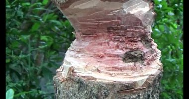 Adam beton döküyor.