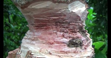 Adam beton döküyor.