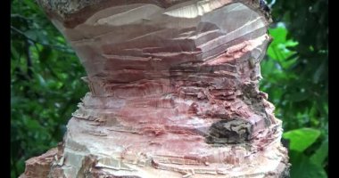 Adam beton döküyor.