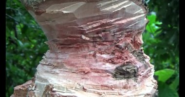 Adam beton döküyor.