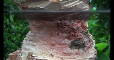 Adam beton döküyor.