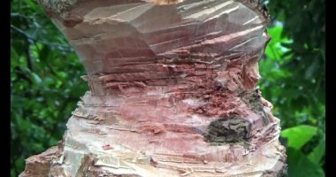 Adam beton döküyor.