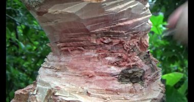 Adam beton döküyor.