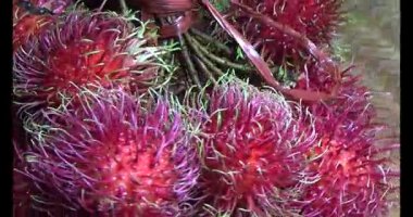 Adam beton döküyor.