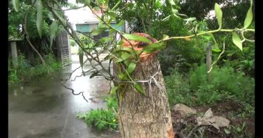 Adam beton döküyor.